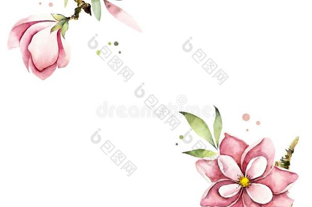 框架从花樱花.花背景幕布.水彩手绘画
