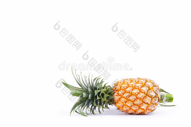 菠萝菠萝科莫赛斯向白色的背景健康的菠萝英语字母表的第6个字母