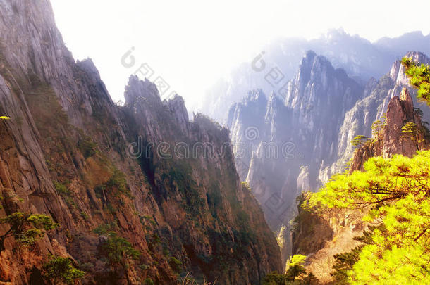 黄色的山中国风景
