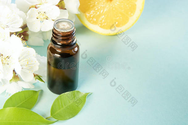 春季芳香疗法和柑橘属果树和基本的油画颜料