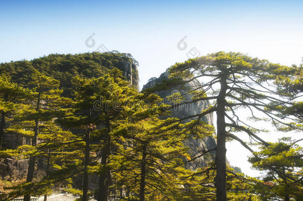 黄色的山中国风景