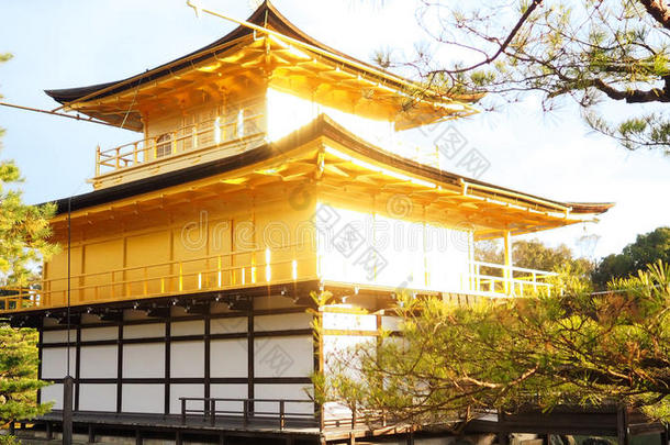 金色的庙或<strong>金卡</strong>库吉采用京都黑色亮漆.