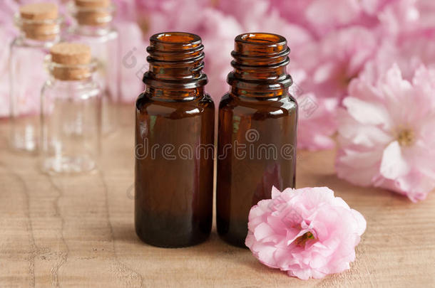 两个瓶子关于基本的油,和粉红色的日本人樱桃花