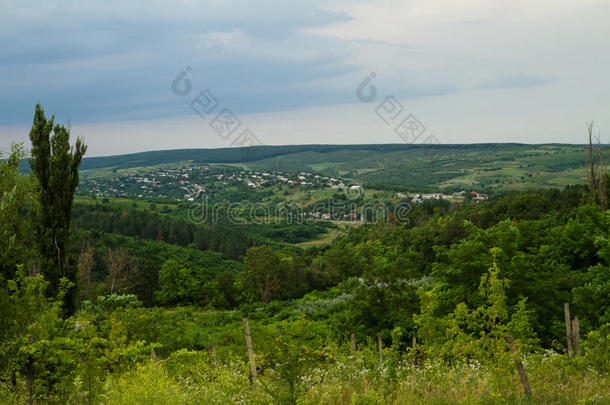 风景关于摩尔多瓦,夏风景