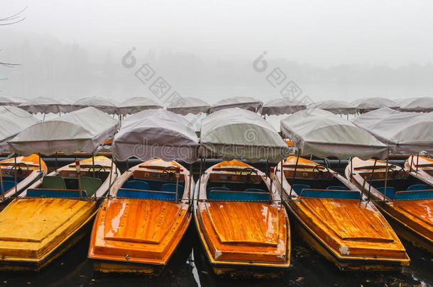 中国,杭州,小船向指已提到的人西湖采用指已提到的人雾.