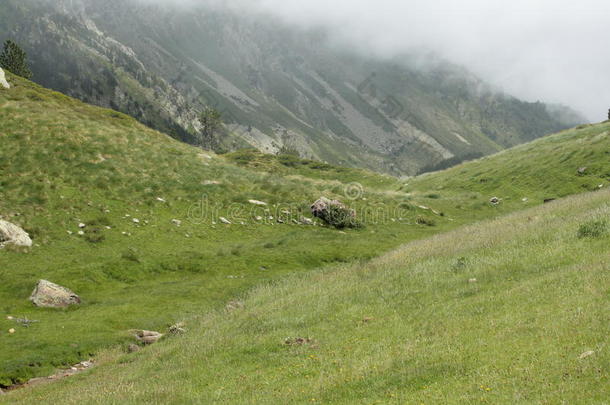 晚会山谷采用比利牛斯山脉Orientales-lapatriaolatumba东方同胞,法国