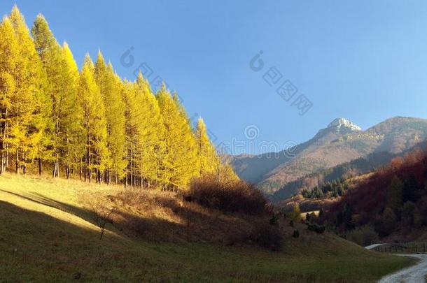 登上哭泣,磨面法特拉从斯特拉佐夫斯克山,斯洛伐克