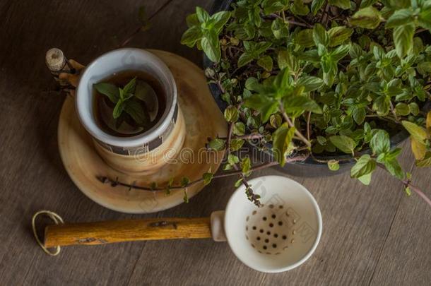 薄荷叶子茶水和薄荷草