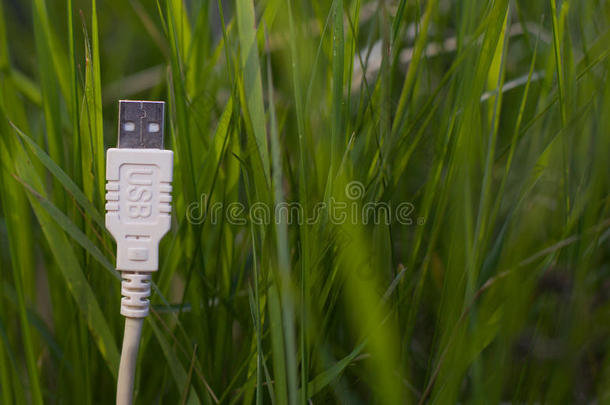 白色的unifiedS-band统一的S波段缆绳向草-绿色的科技