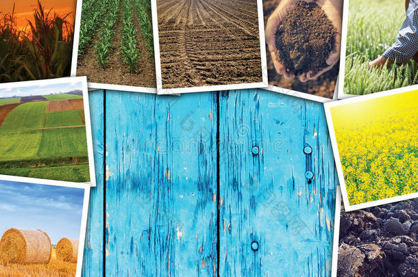 农业有特定主题的照片拼贴画和复制品空间