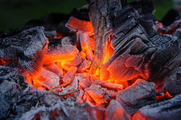 用文火焖烧灰烬.燃烧的煤.烤架吃烤烧肉的野餐烤架.