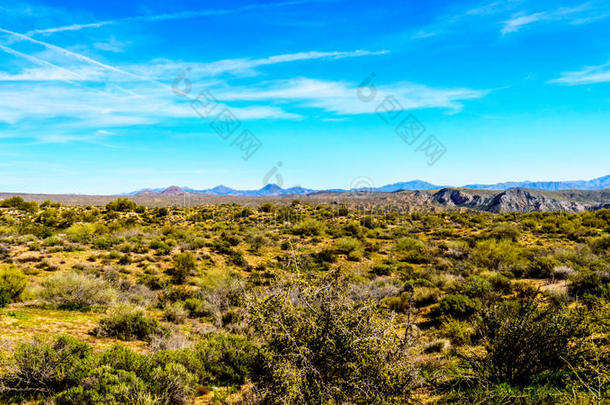 半独立式住宅沙漠风景和遥远的山在下面蓝色天采用向