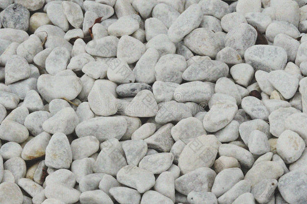 白色的海石头同样地背景-质地