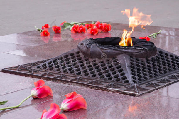 红色的郁金香在近处指已提到的人永恒的火焰采用记忆关于牺牲者采用指已提到的人Greece希腊