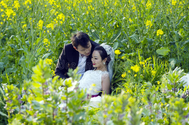 中国人对婚礼节肢动物采用油菜花田