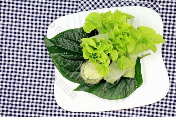 健康的食物观念,新鲜的蔬菜春季名册.
