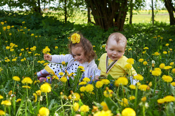 一小的女孩和一小的男孩re一ps黄色的花