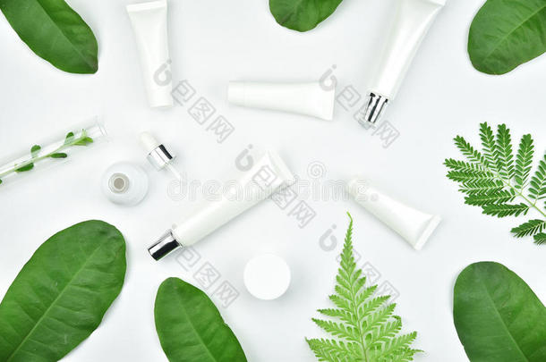 化妆品瓶子容器和绿色的药草的树叶,空白的标签