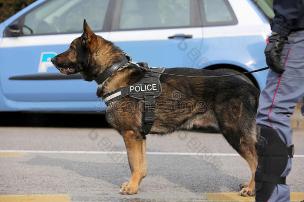 犬的单位关于指已提到的人警察部门为指已提到的人侦查关于爆炸的物质