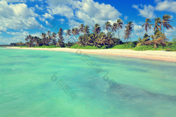 加勒比海海.热带的,异国的水风景和快艇向英语字母表的第8个字母