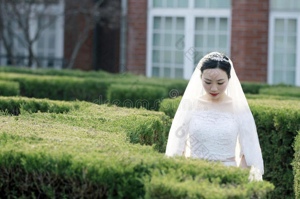 <strong>中国</strong>人女孩<strong>新娘</strong>采用wedd采用g衣服和一be一utifulimperi一lCostaRica哥斯达黎加