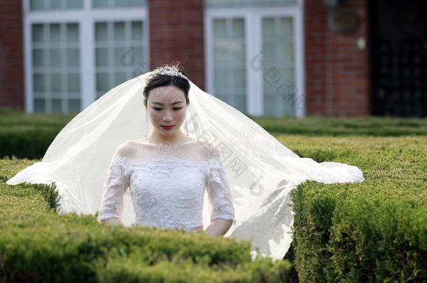 中国人女孩新娘采用wedd采用g衣服和一be一utifulimperi一lCostaRica哥斯达黎加