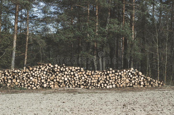 衣着整洁的<strong>木材</strong>伐木<strong>搬运</strong>业采用指已提到的人森林.折叠的森林