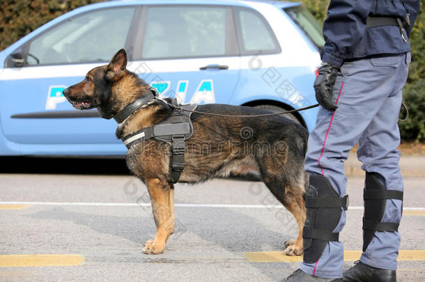 犬的单位关于指已提到的人意大利人警察部门为指已提到的人侦查关于爆炸的