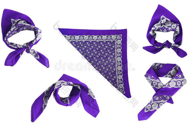 丁香花属,紫罗兰,紫色的,洋红围巾,印花大手帕,模式,伊索拉