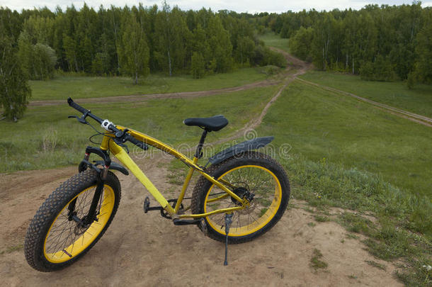 肥的自行车在夏乡村-恶劣的自行车,水平的