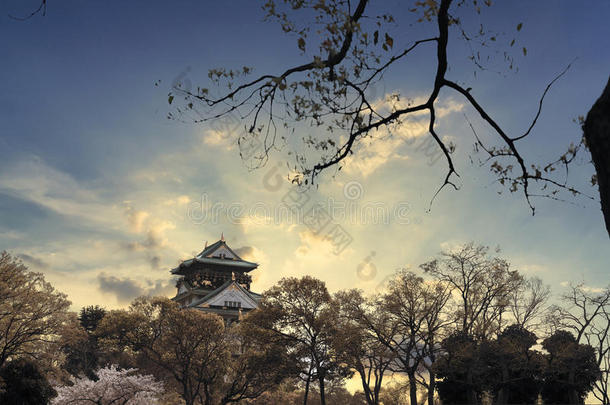 指已提到的人大阪城堡和多云的向蓝色天和樱桃花