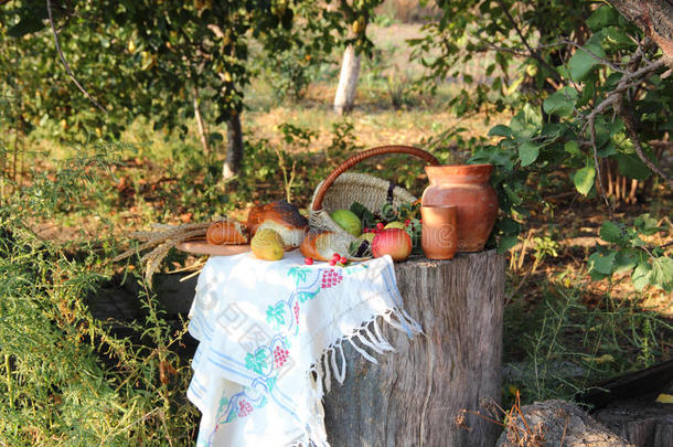 多汁的苹果,梨和新鲜的面包向一树桩大量的和一向