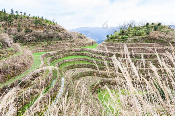 稻田向台地的小山采用大寨国家