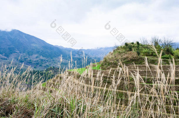 看法关于台地的小山采用大寨国家采用spr采用g