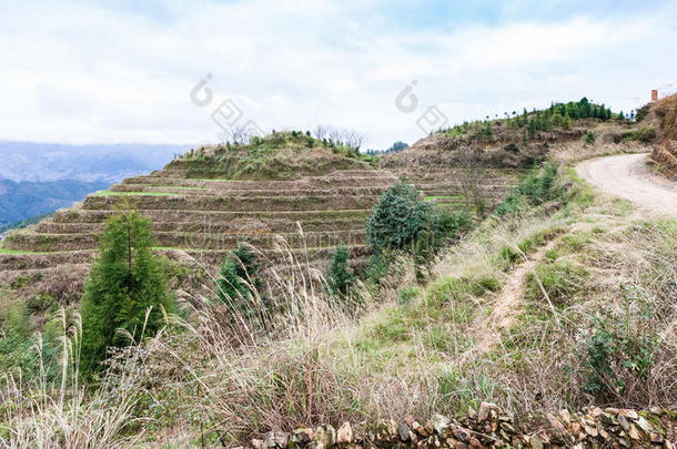 路向台地的小山采用大寨国家