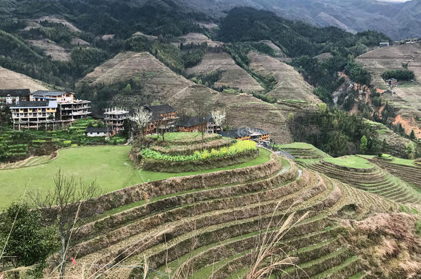 大寨国家和村和稻田