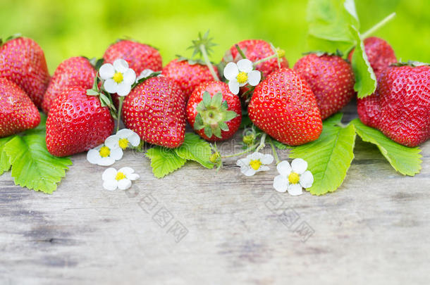 完美的芳香甜的草莓边向木材