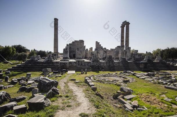 庙关于阿波罗采用古老的城市关于迪迪玛