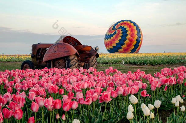 拖拉机和热的天空气球