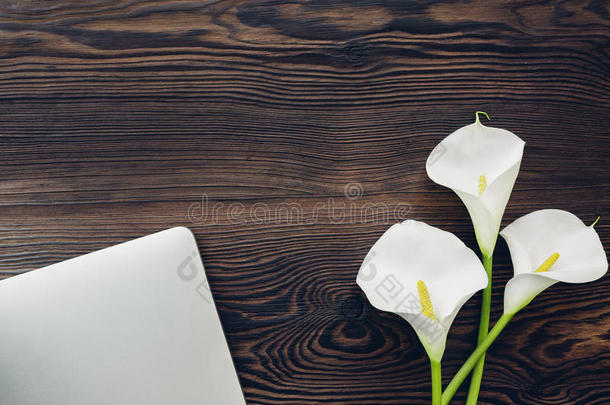 平的放置白色的马蹄莲花和便携式电脑向木制的背景,向