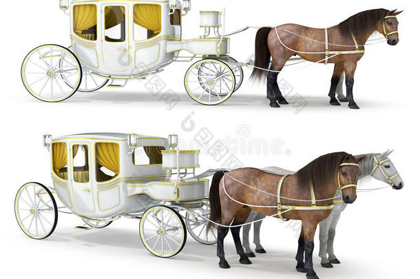 一白色的,金-完成了的运输疲惫的在旁边一p一ir关于马