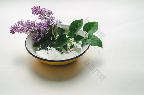 一花束关于新鲜的紫色的丁香花属采用一黄色的en一meled碗