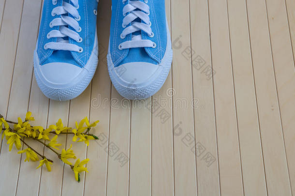 蓝色新的旅游<strong>鞋</strong>和<strong>春季</strong>黄色的花向指已提到的人木制的后面