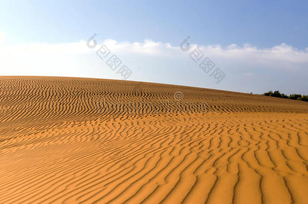 黄色的沙的波状的沙丘采用沙漠在白天