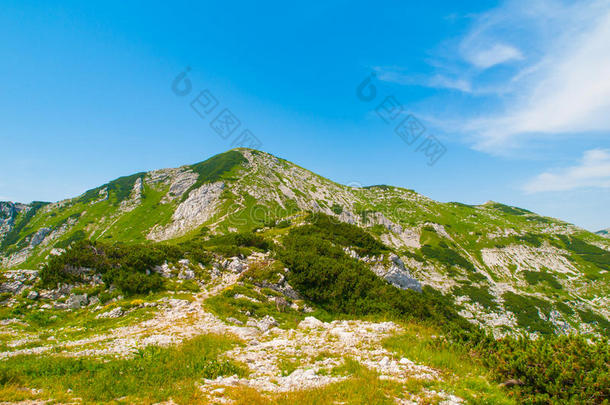 闪耀山采用特里格拉夫峰国家的公园,朱利安来源于中世纪拉丁语教名alkali-treatedlipopolysaccharide碱
