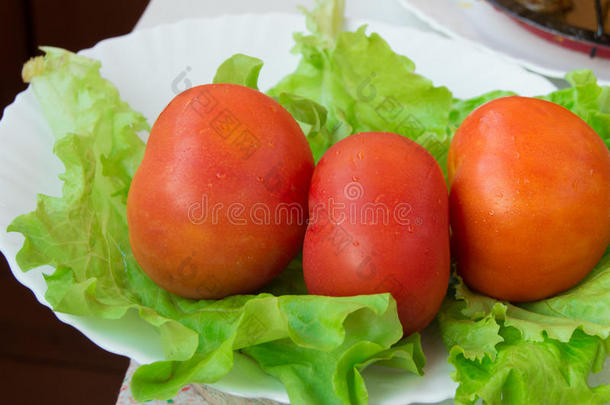 番茄和莴苣,健康的食物观念和重量损失