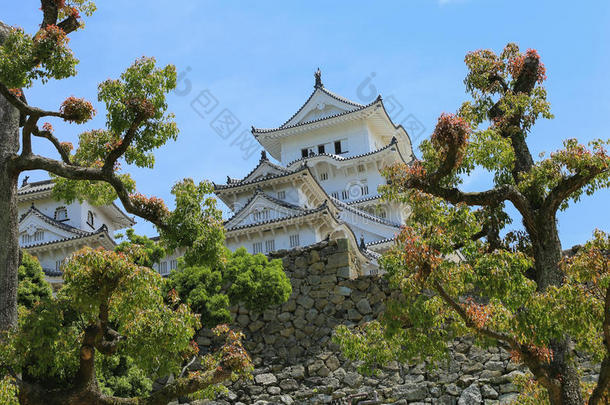 姬路城堡,黑色亮漆,aux.可以<strong>2017</strong>