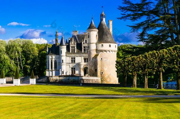 优美的钦诺索城堡-美丽的城堡s关于卢瓦尔河山谷采用