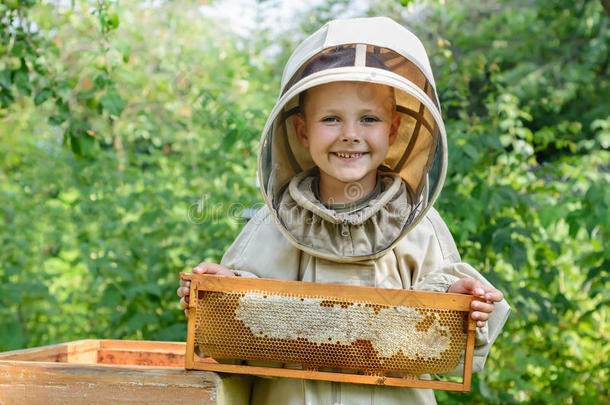 指已提到的人男孩养蜂人保存采用他的手一蜂窝和新鲜的用磨刀石磨