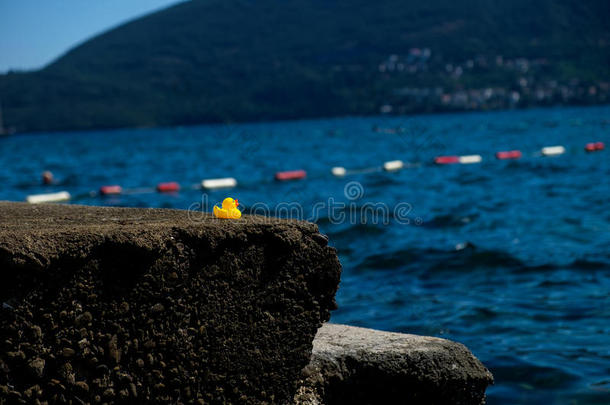 黄色的橡胶鸭子在阿霉素海海滩